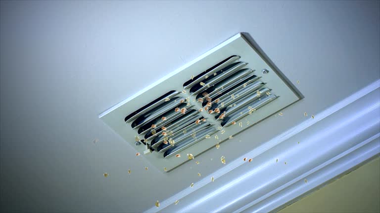 Best Affordable Duct Cleaning Services  in North Valley Stream, NY